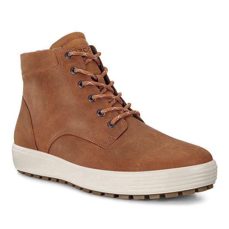 Botas Ecco Soft 7 Tred Para Hombre,Marrones,052348-AJO